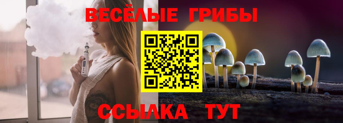 Галлюциногенные грибы Psilocybine cubensis Мичуринск